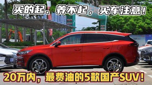 20万落地车国产车视频,视频评测带你领略性价比之选